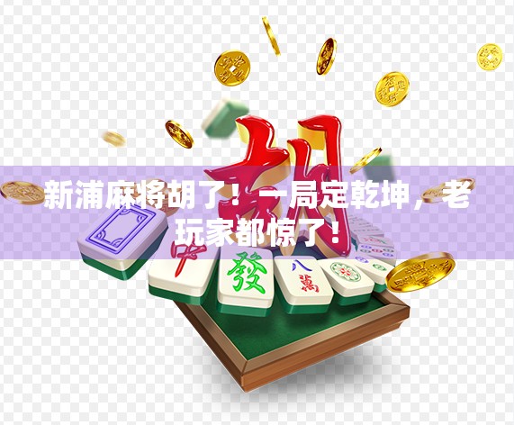 新浦麻将胡了！一局定乾坤，老玩家都惊了！