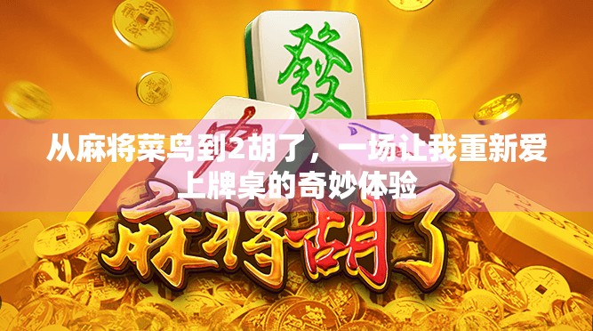 从麻将菜鸟到2胡了,一场让我重新爱上牌桌的奇妙体验 从麻将菜鸟到2胡了,一场让我重新爱上牌桌的奇妙体验