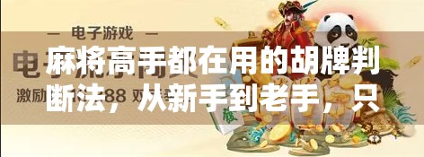 麻将高手都在用的胡牌判断法，从新手到老手，只需掌握这5步！