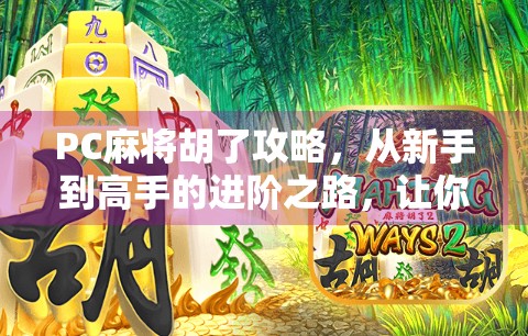 PC麻将胡了攻略，从新手到高手的进阶之路，让你秒变麻将大师！